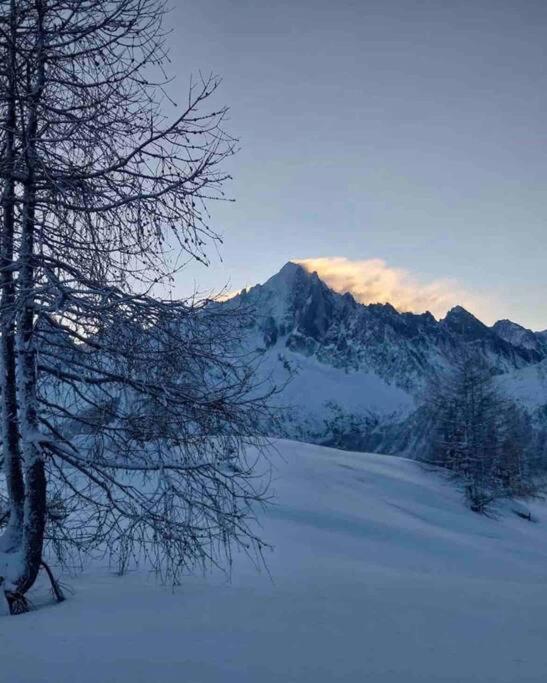 Ski Chamonix, Saint Gervais Et Mont-Blanc 帕西 外观 照片
